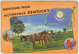 Kentucky Souvenir Folder - Carey's Emporium