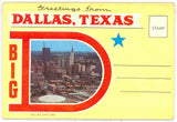 Dallas, TX Souvenir Folder - Carey's Emporium