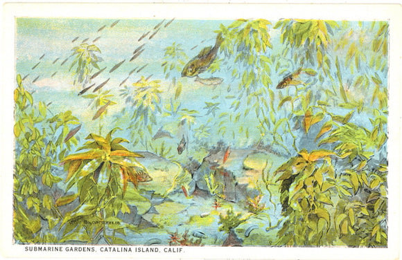 Submarine Gardens, Catalina Island, CA - Carey's Emporium
