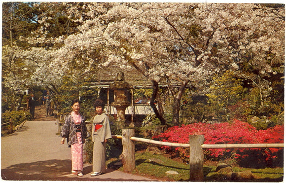 Japanese Tea Garden, San Francisco, CA - Carey's Emporium