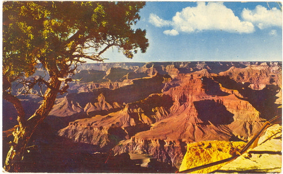 Grand Canyon National Park - Carey's Emporium