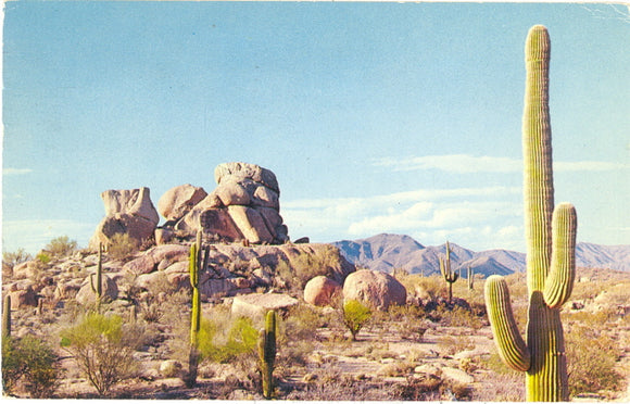 Cave Creek Area, near Phoenix, AZ - Carey's Emporium