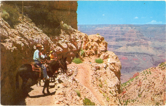 Near Top of Kaibab Trail, Grand Canyon National Park - Carey's Emporium