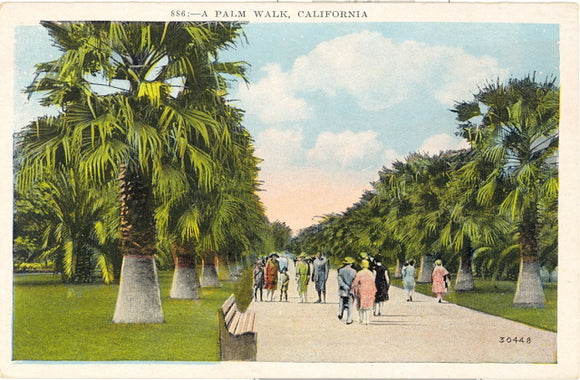 A Palm Walk, Los Angeles, CA - Carey's Emporium