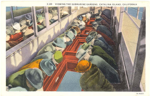 Viewing the Submarine Gardens, Catalina Island, CA - Carey's Emporium