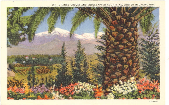 Orange Groves and Snow-Capped Mountains, Winter in California - Carey's Emporium