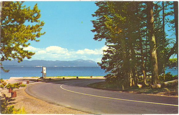 Highway Along Yellowstone Lake, Yellowstone National Park - Carey's Emporium