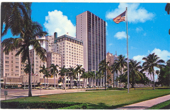 Biscayne Boulevard looking north from Flagler Street, Miami, FL - Carey's Emporium
