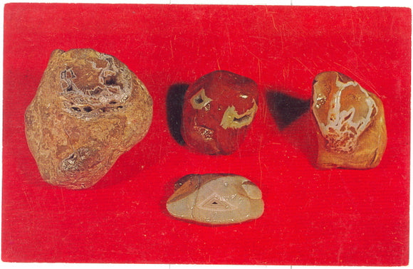 Agate (chalcedony) in Limestone - Carey's Emporium