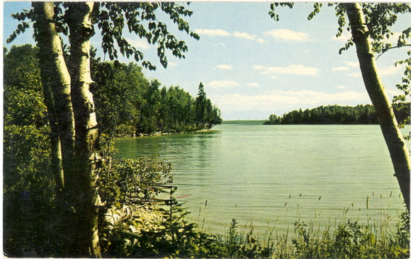 Greetings from Petoskey, MI - Carey's Emporium