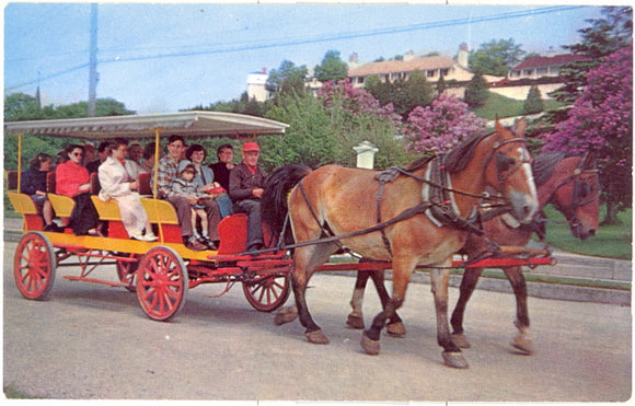 Lilac Time, Mackinac Island, MI - Carey's Emporium