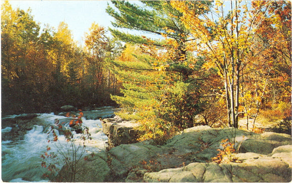 Greetings from Newberry, MI - Carey's Emporium