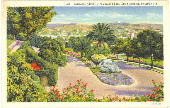 Winding Drive in Elysian Park, Los Angeles, CA - Carey's Emporium