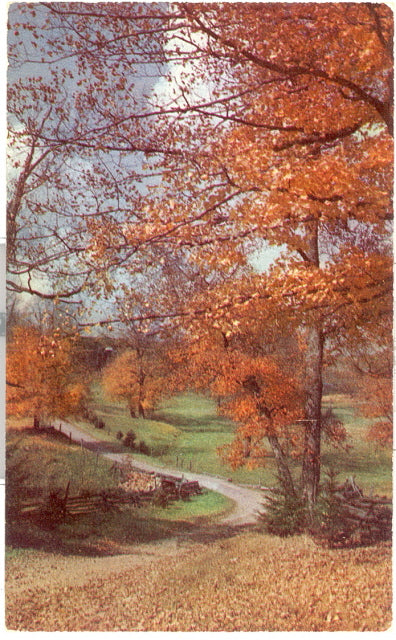 Croton Heights, MI - Carey's Emporium