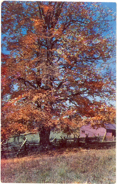 Hardy Dam, Newaygo County, MI - Carey's Emporium