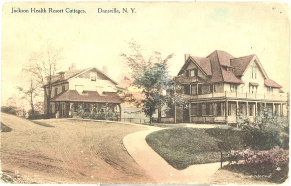 Jackson Health Resort Cottages, Dansville, NY - Carey's Emporium