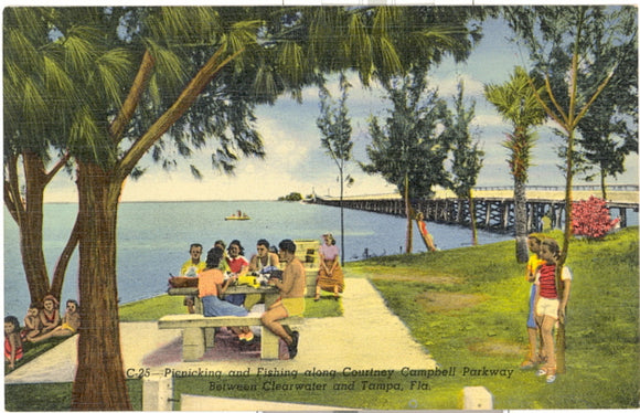 Courtney Campbell Parkway between Tampa and Clearwater, FL - Carey's Emporium