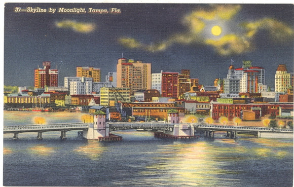 Skyline by Moonlight, Tampa FL - Carey's Emporium