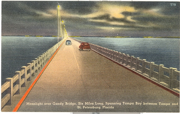Moonlight over Gandy Bridge, Six Miles Long, Spanning Tampa Bay between Tampa and St. Petersburg, FL - Carey's Emporium