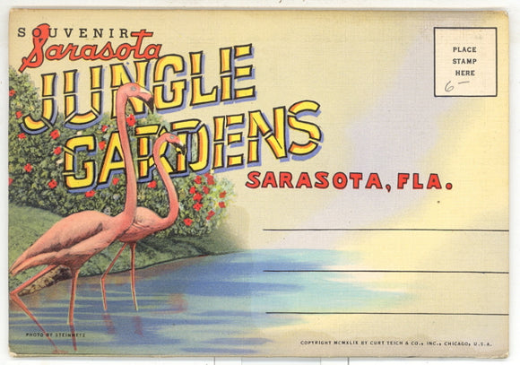 Jungle Gardens, Sarasota, FL Souvenir Folder - Carey's Emporium