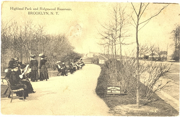 Highland Park and Ridgewood Reservoir, Brooklyn, NY - Carey's Emporium