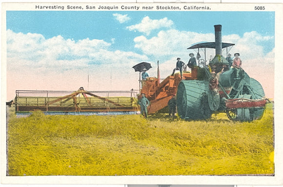 Harvesting Scene, San Joaquin County near Stockton, CA - Carey's Emporium