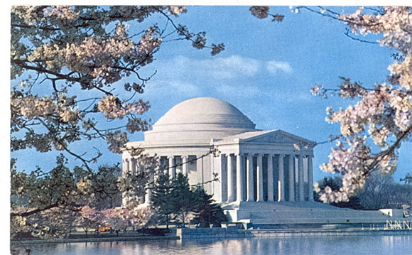 The Jefferson Memorial at Cherry Blossom Time, Washington, DC - Carey's Emporium