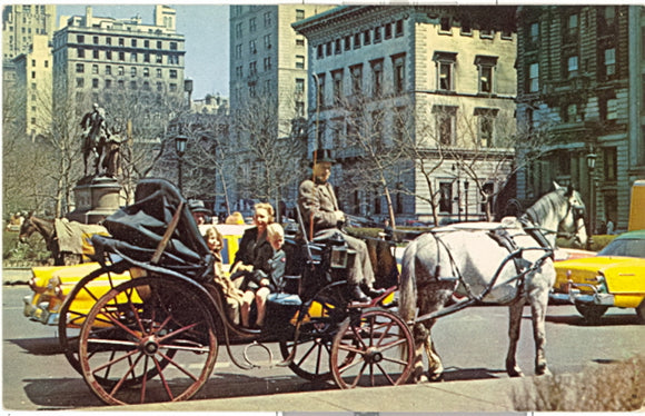 Carriages on 59th Street, New York, NY - Carey's Emporium