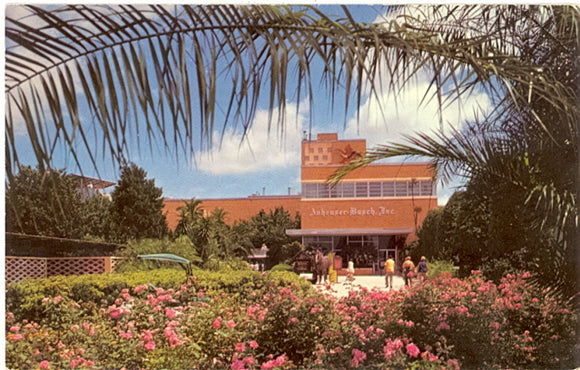 Busch Gardens, Tampa, FL - Carey's Emporium