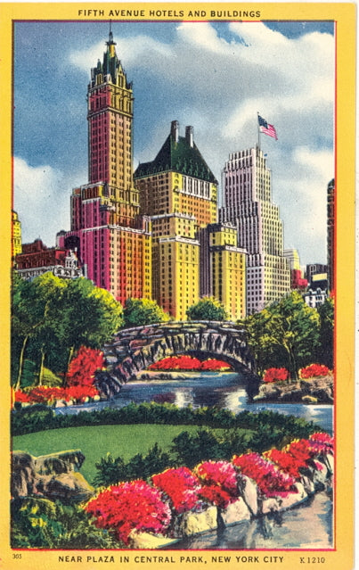 Fifth Avenue Hotels and Buildings, Near Plaza in Central Park, New York City, NY - Carey's Emporium