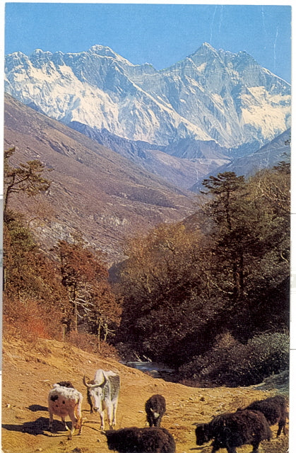 Mount Everest, Nepal - Carey's Emporium