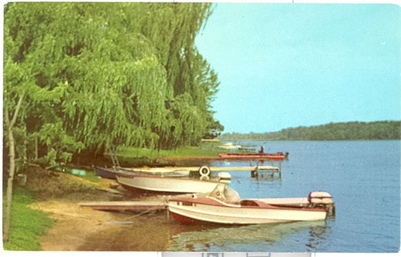 One of Michigan's Enchanting Lakes - Carey's Emporium
