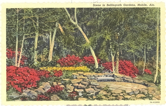 Scene in Bellingrath Gardens, Mobile, AL - Carey's Emporium
