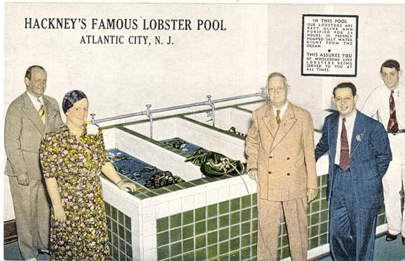 Hackney's Famous Lobster Pool, Atlantic City, NJ - Carey's Emporium