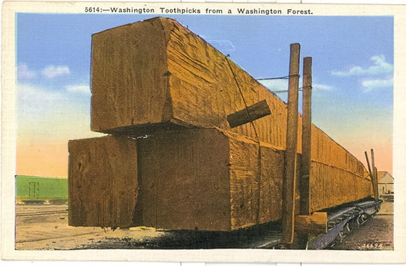 Washington Toothpicks from a Washington Forest - Carey's Emporium