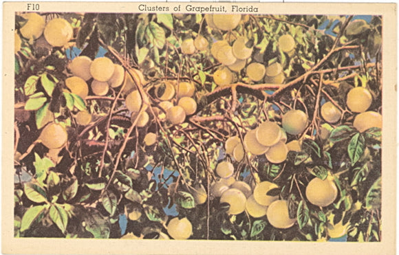 Clusters of Grapefruit, FL - Carey's Emporium