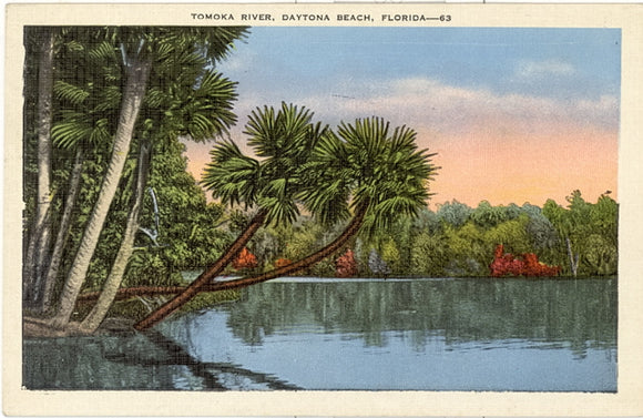 Tomoka River, Daytona Beach, FL - Carey's Emporium
