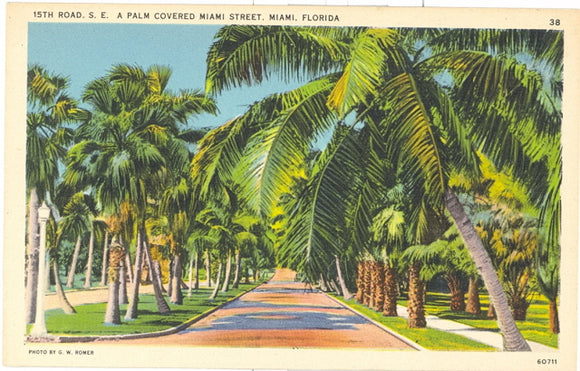 15th Road, S.E., A Palm Covered Miami Street, Miami, FL