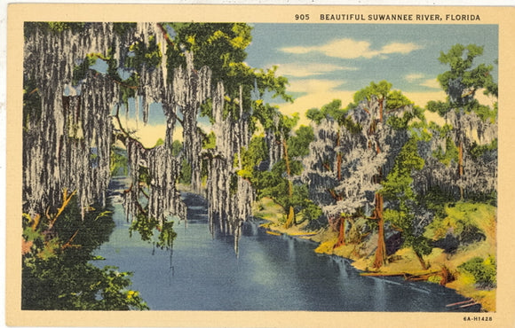 Beautiful Suwannee River, FL - Carey's Emporium