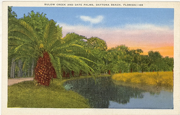 Bulow Creek and Date Palms, Daytona Beach, FL - Carey's Emporium