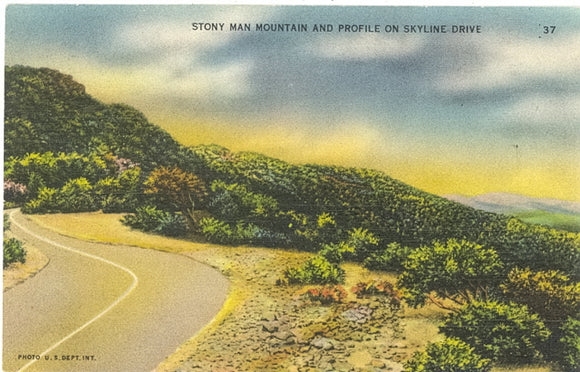 Stony Man Mountain and Profile, Shenandoah National Park - Carey's Emporium