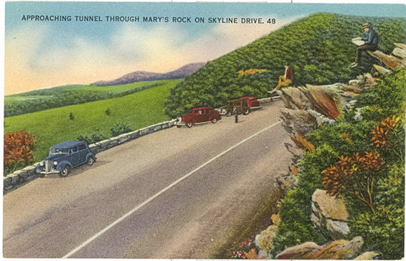 Skyline Drive, Shenandoah National Park - Carey's Emporium