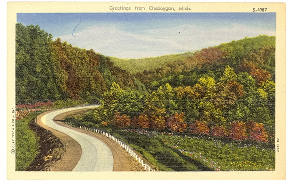 Greetings from Cheboygan, MI - Carey's Emporium