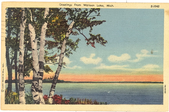 Greetings from Walloon Lake, MI - Carey's Emporium