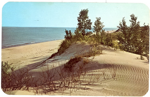 Duneland along the Shores of Lake Michigan, MI - Carey's Emporium