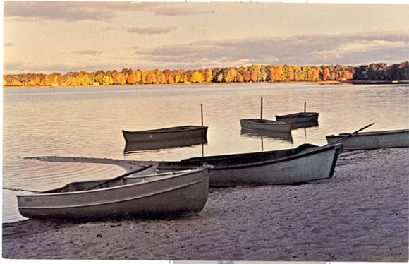 Sunrise over Michigan's Beautiful Wolf Lake, MI - Carey's Emporium