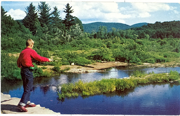 Greetings from Mt. Pleasant, MI - Carey's Emporium