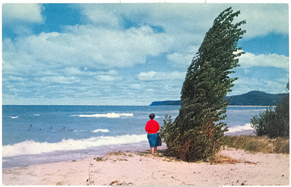 Northern Michigan Shoreline, Traverse City, MI - Carey's Emporium