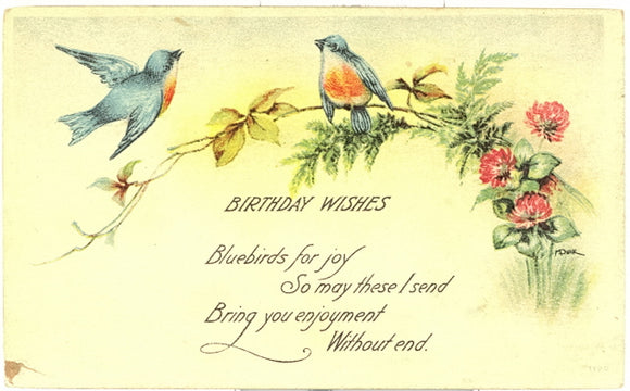 Birthday Wishes - Carey's Emporium