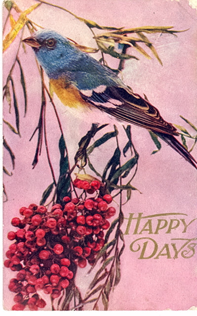 Happy Days - Carey's Emporium